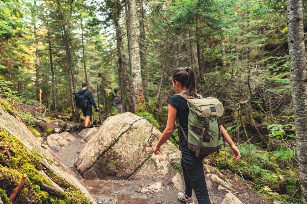 hikers walking on a forest trail with camping backpacks