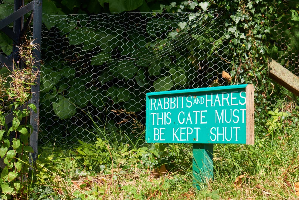 A sign warning of the problem of Rabbits and Hares outside a heritage flower garden.