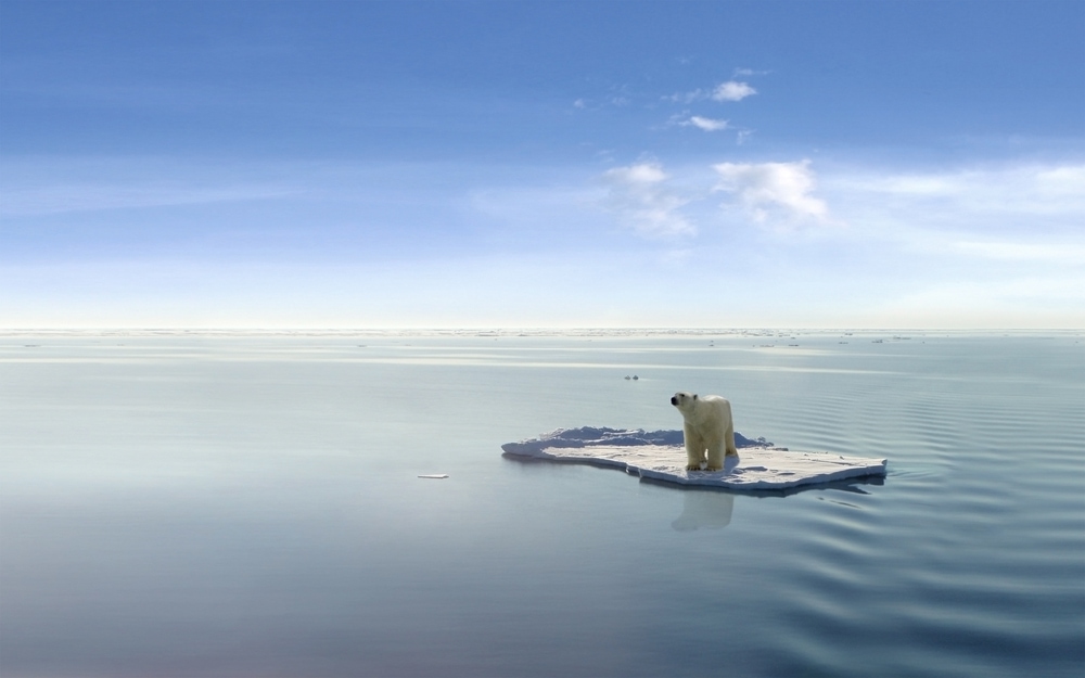 a polar bear standing on the remaining  ice  in the waters
