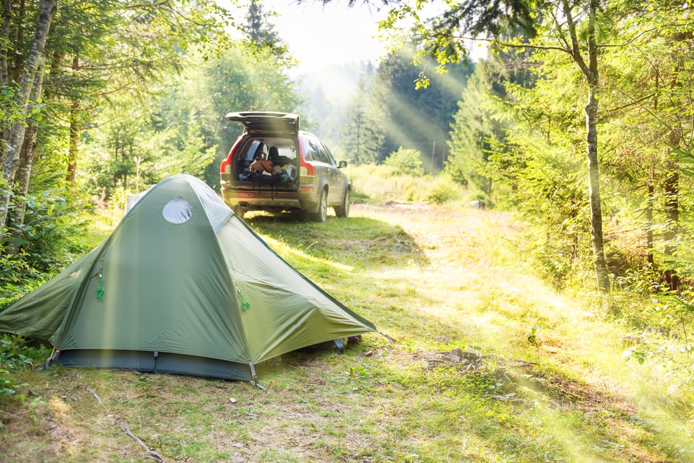 a tent and a car on a campground. Car camping is also called tent camping style