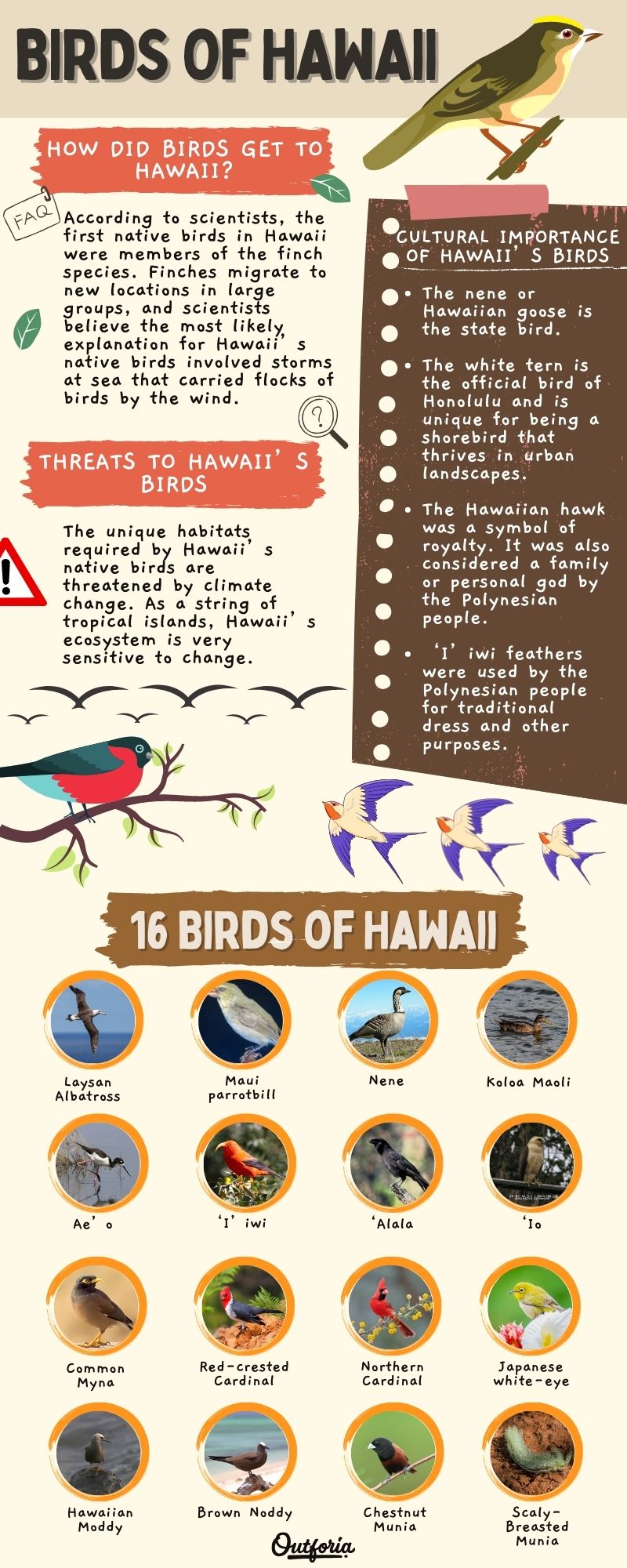 Chart of the Birds of Hawaii complete with Facts, Photos, Threats and more