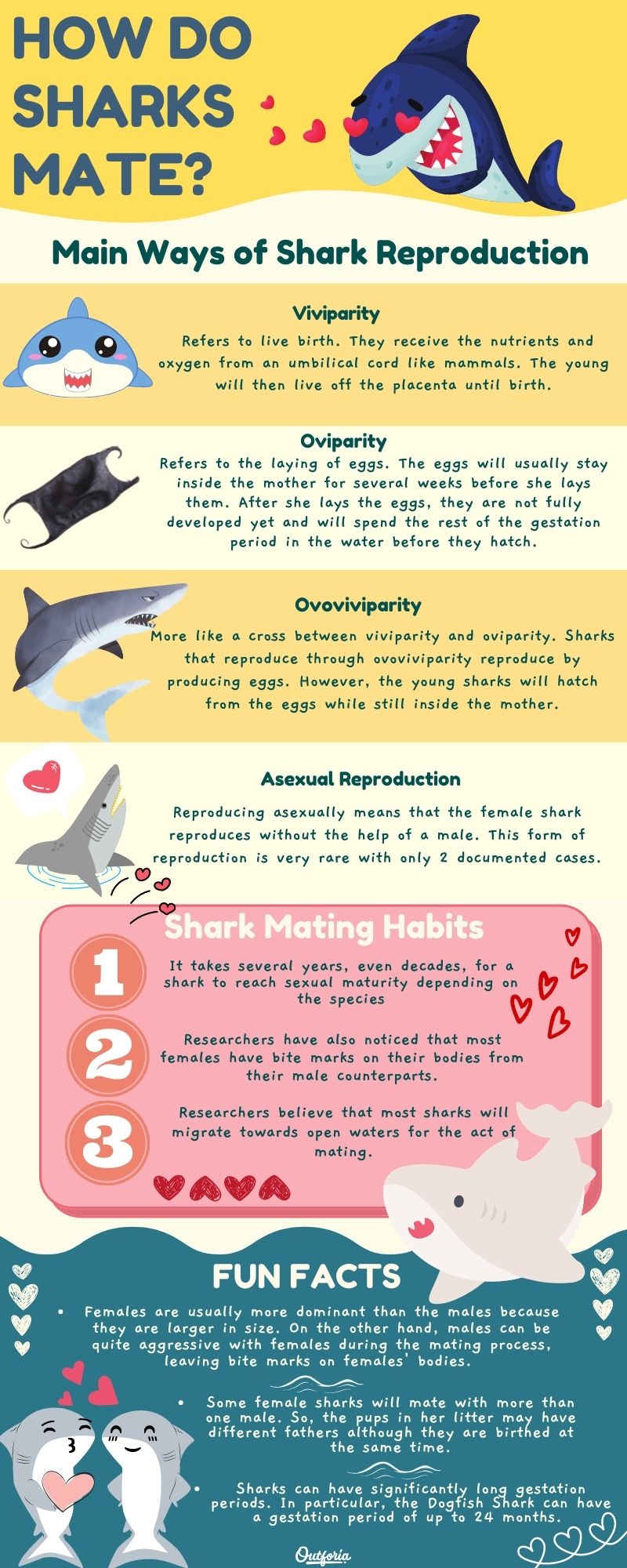 how do sharks mate chart with shark reproduction ways, shark mating habits, and, fun facts
