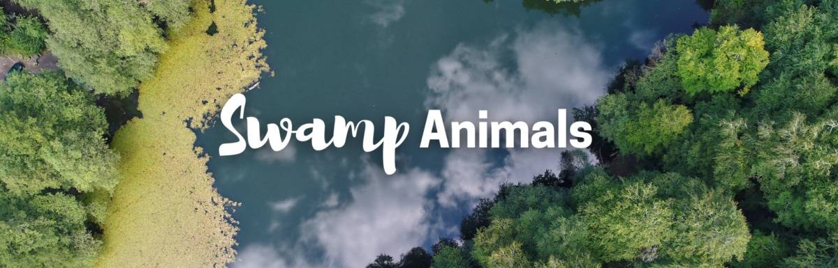 Swamp Animal Cover Image