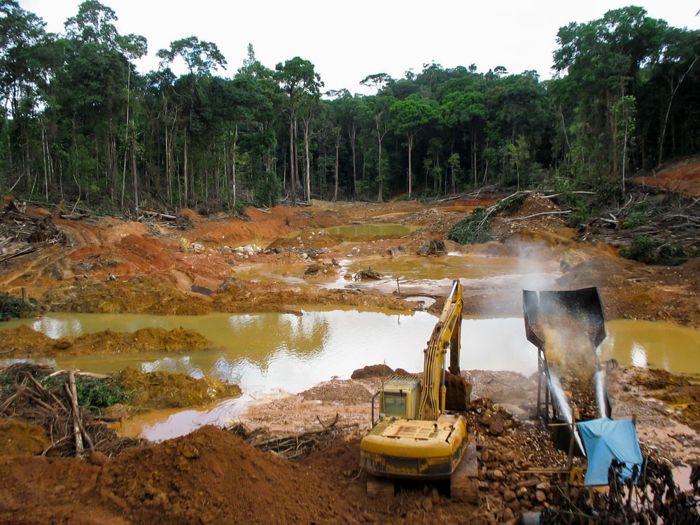 Trucks damaging the swamp and rainforest biome
