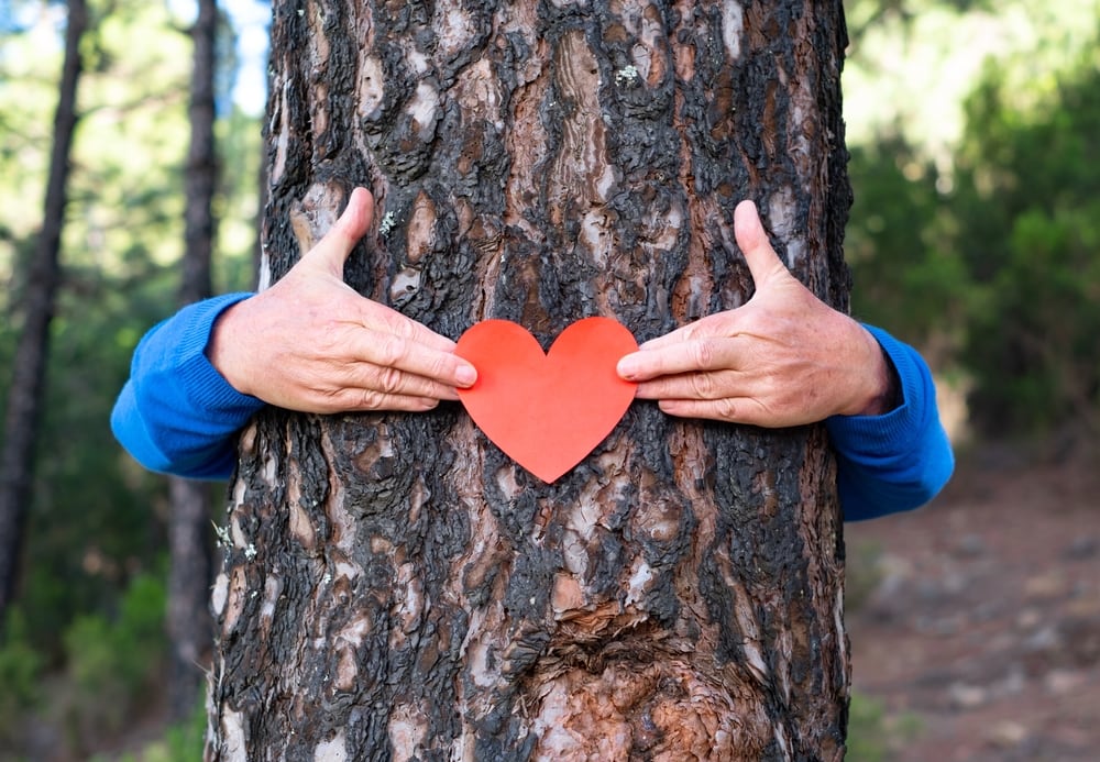 Senior woman in the woods hugs a tree trunk puts a heart shape on it