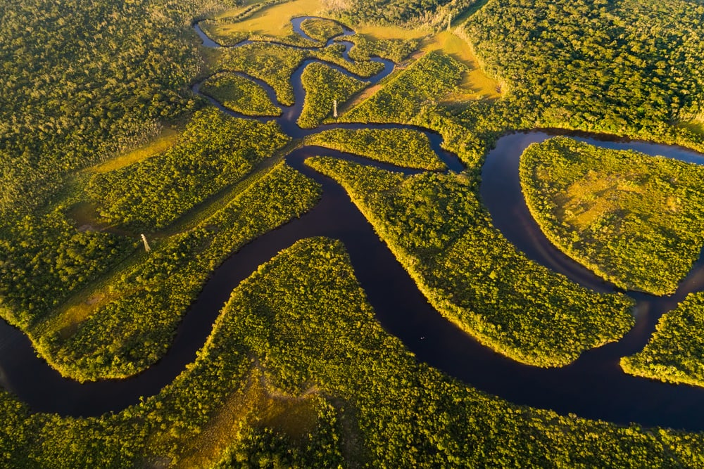 aerial view of the Amazon rainforest in Brazil