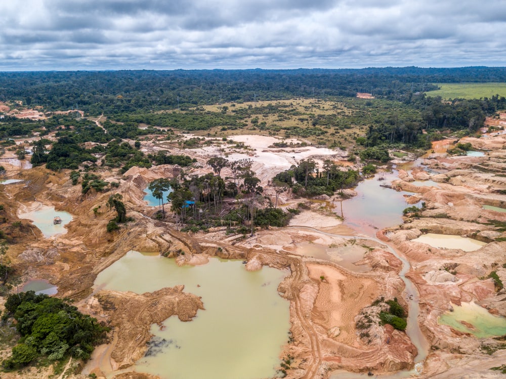 the deforested area in the Amazon rainforest due to illegal mining and logging