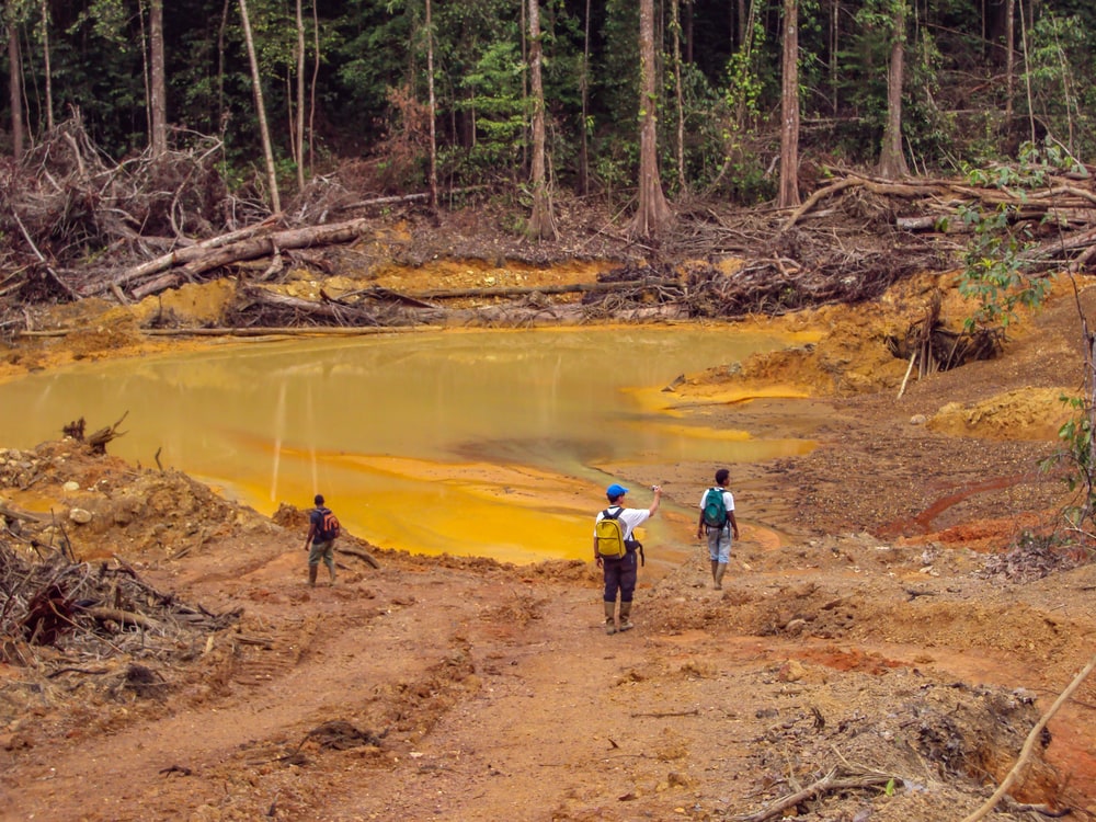Men examining the gold mining place in Guyana with waste water flowing into the forest. 