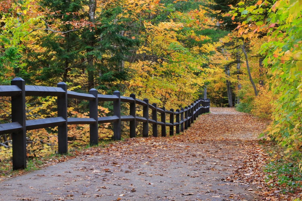 A fence and colorful tree lined path in autumn leading down to the falls, Tahquamenon Falls Michigan