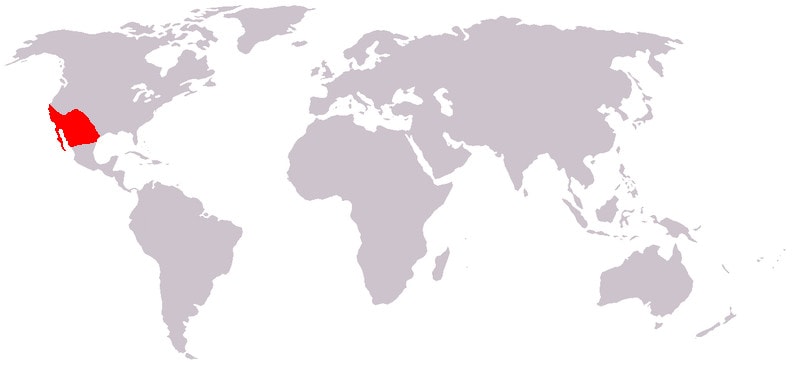 range map of the greater roadrunner