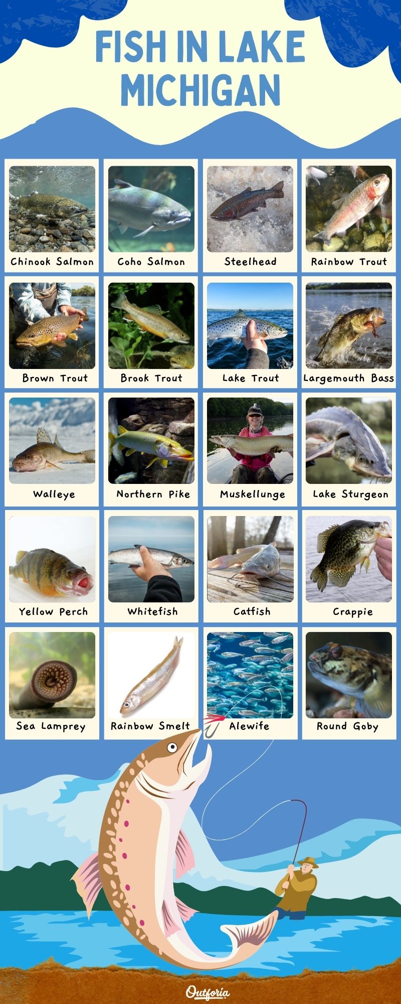 chart of the fish in Lake Michigan with images and names