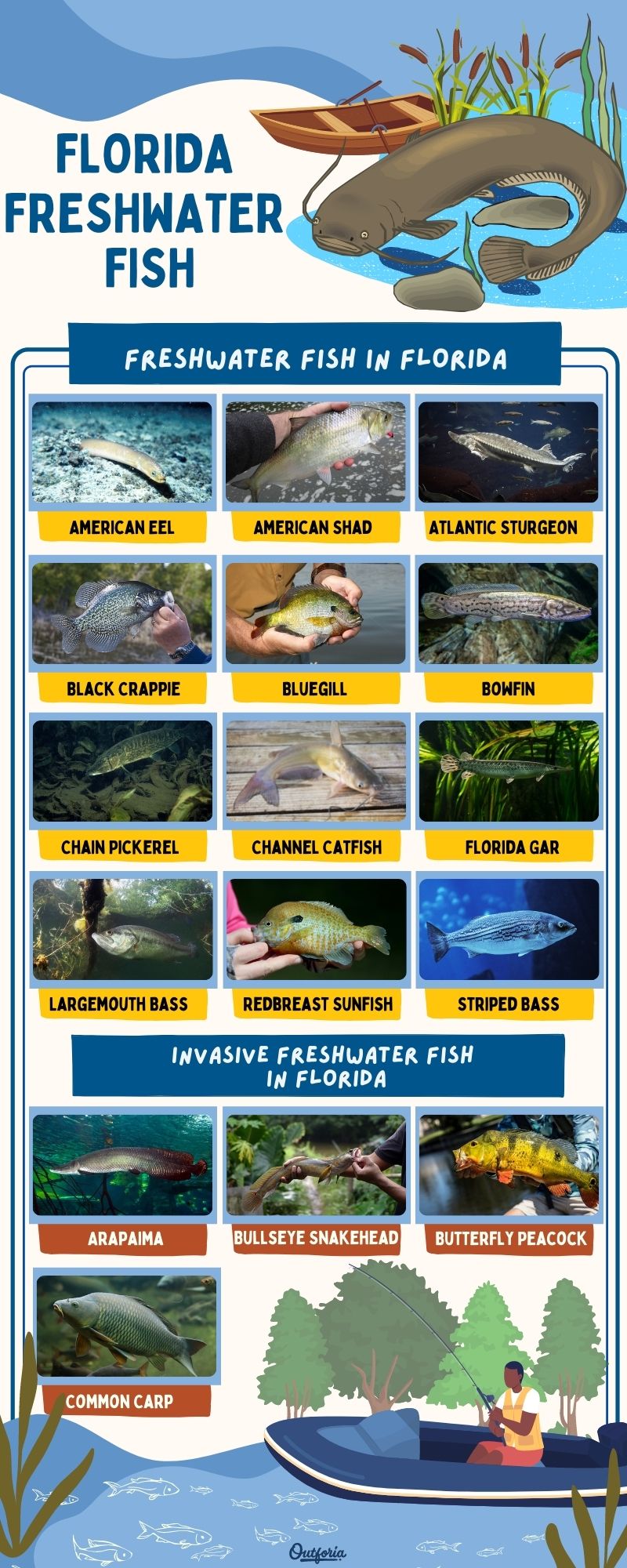 chart of names and images of Florida freshwater fish and invasive Florida freshwater fish