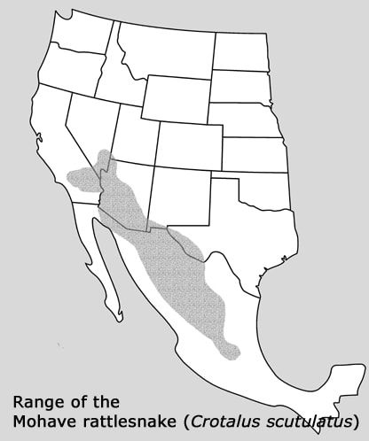 range map of Mojave rattlesnake