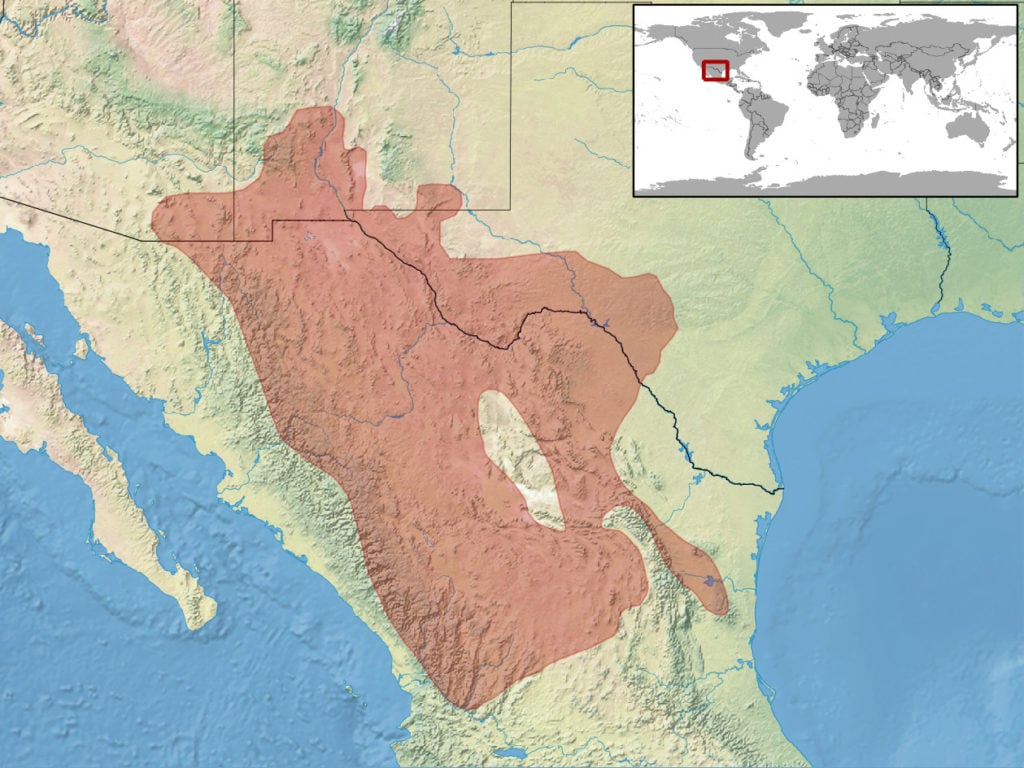 range map of rock rattlesnake