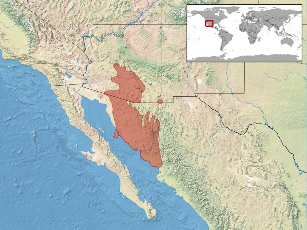 range map of tiger rattlesnake
