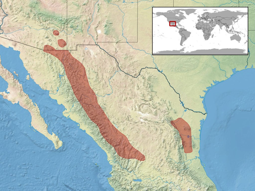 range map of twin-spotted rattlesnake