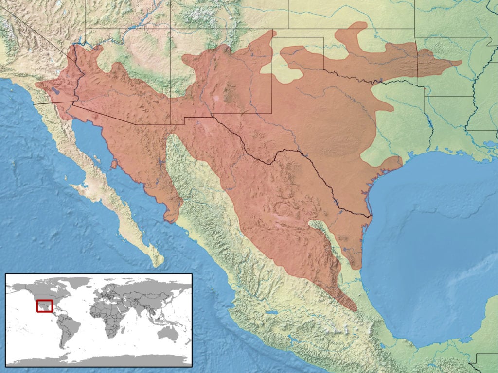 range map of western diamondback rattlesnake