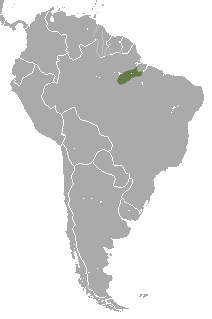 distribution map of the Silvery marmoset