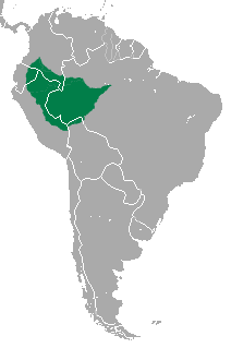 distribution map of the pygmy marmoset