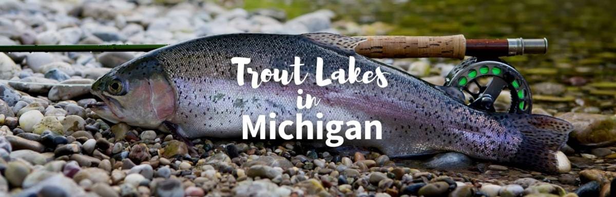 trout lakes in Michigan featured image