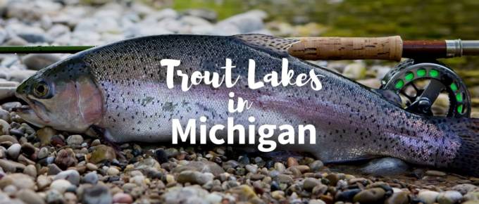trout lakes in Michigan featured image