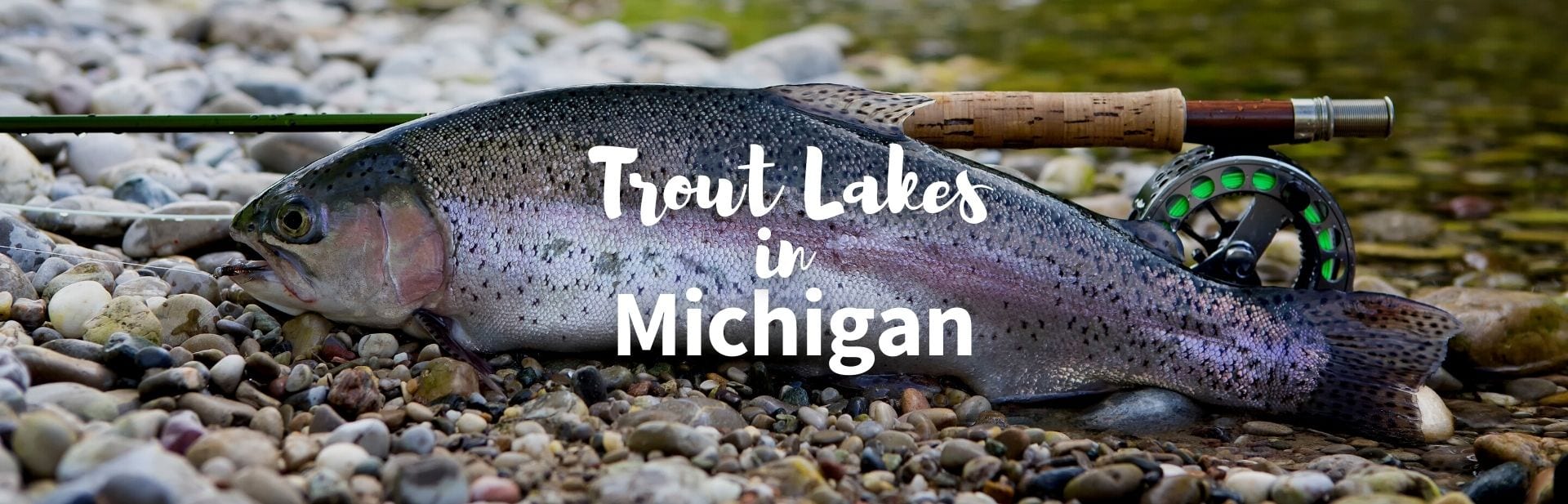 5 of the Best Trout Lakes in Michigan