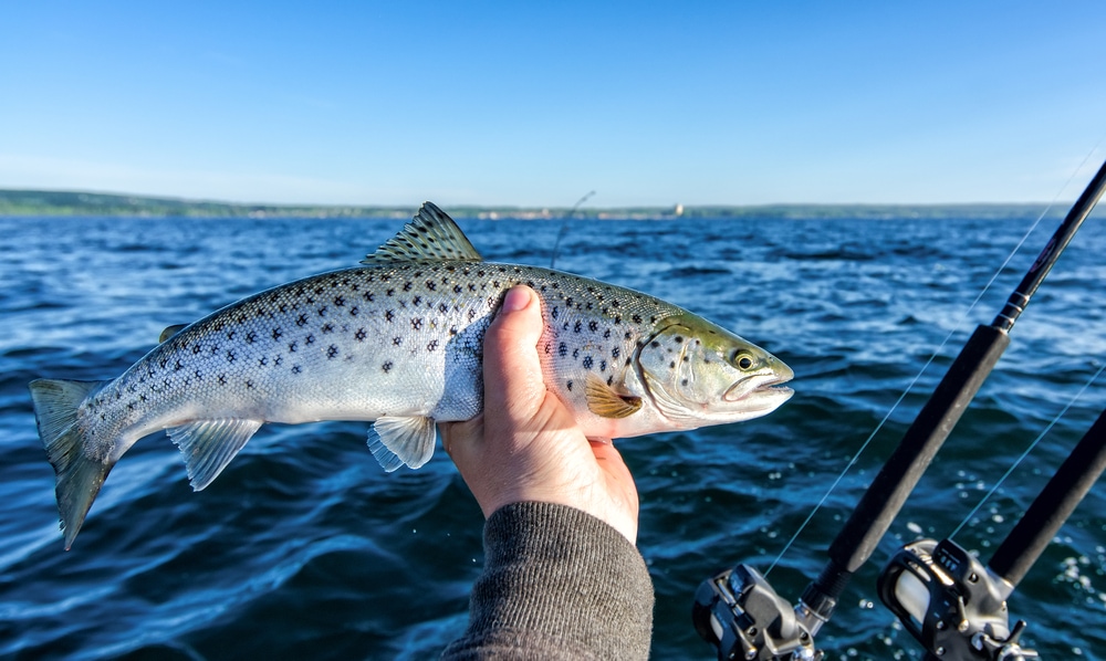 an angler holding a small lake trout in hand
