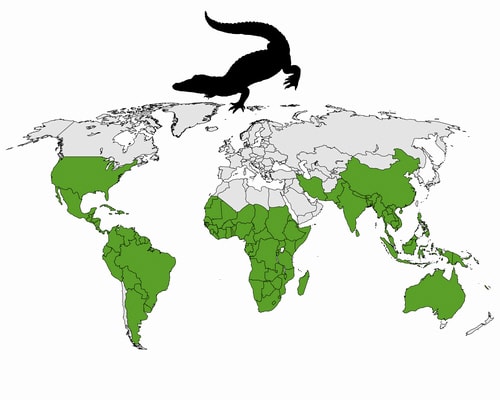 distribution map of crocodiles in the world