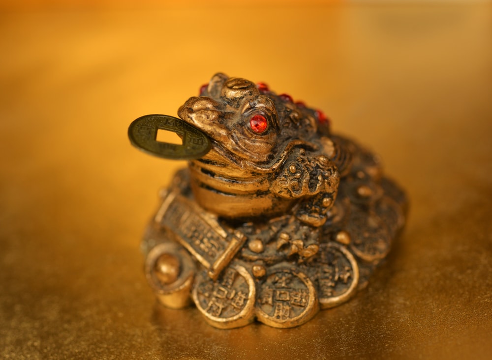 image of a Three legged toad with gold coin