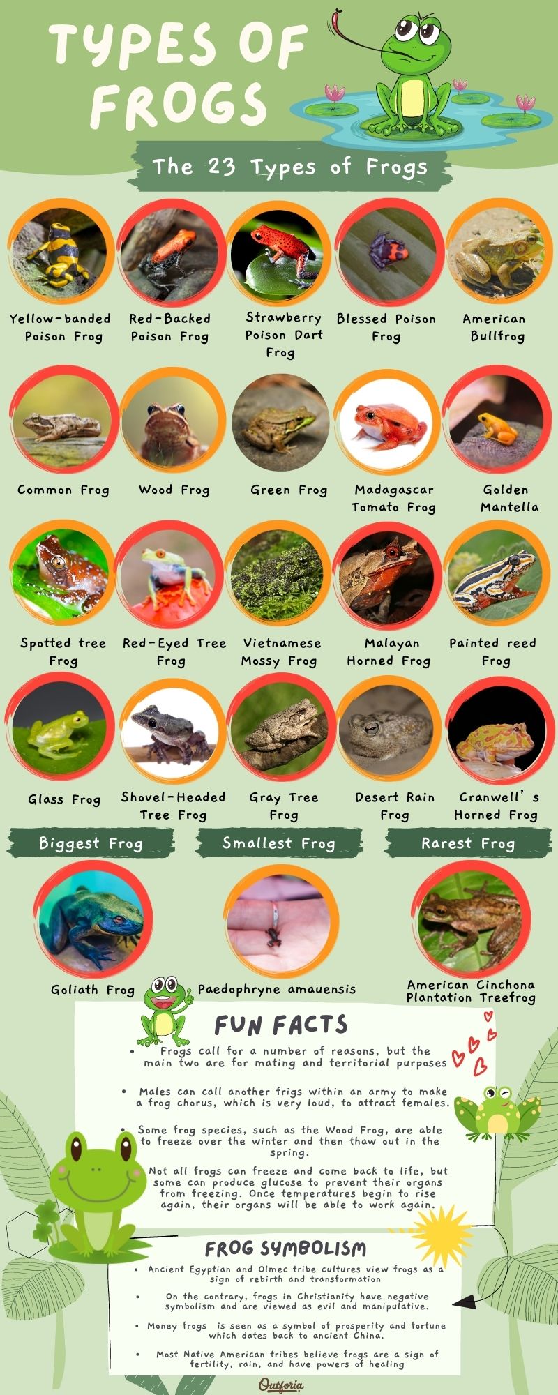 chart of the 23 types of frogs with names, images, and fun facts