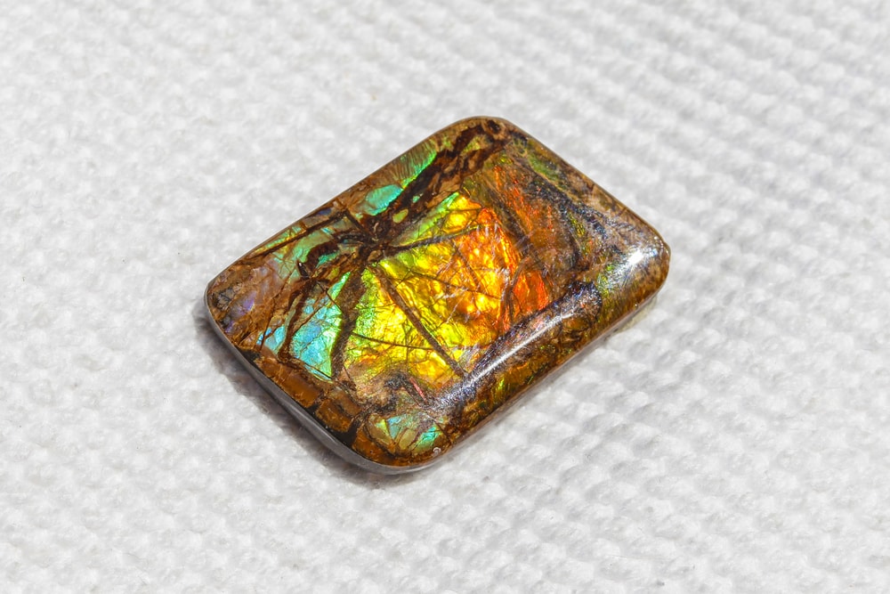 piece of an ammolite from the Rocky Mountains in Canada