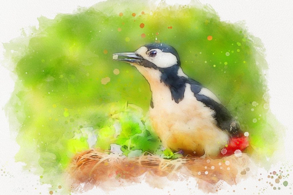 Painting of a woodpecker