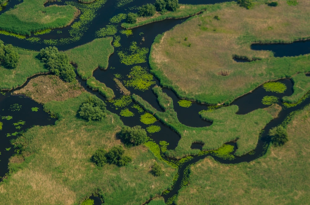 Amazing Green Delta of Dnieper River near the Zaporizhia, aerial view