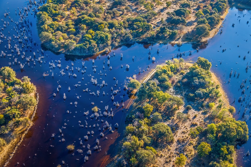 aerial view of the Okavango delta which is one of the 7 wonders of the wolrd