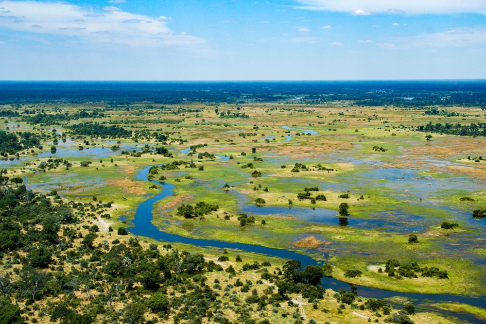 the Okavango delta in Botswana shows the vast grasslands and plants
