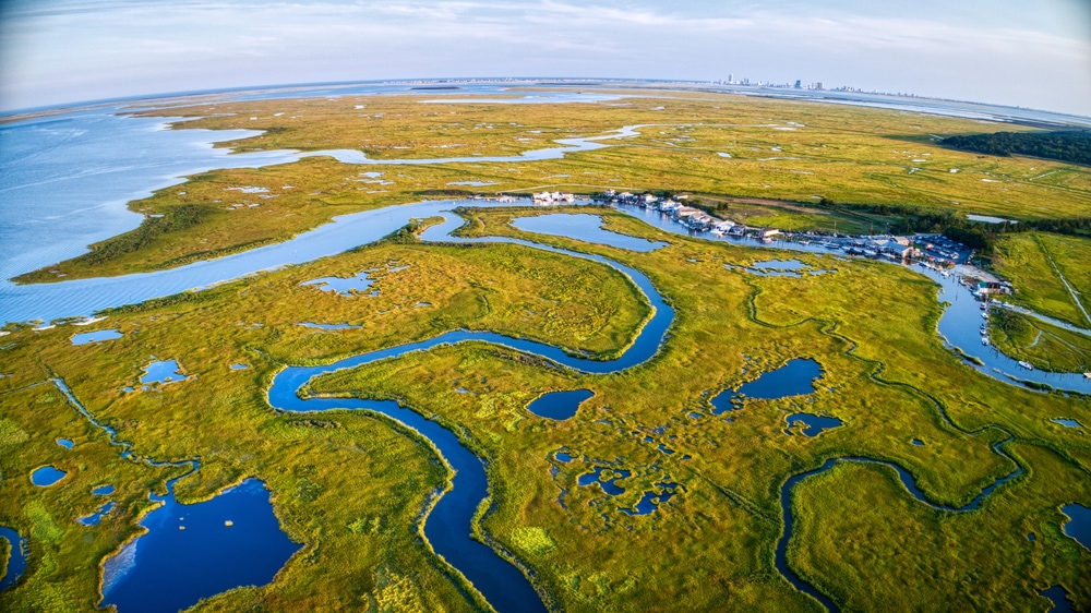 aerial view of a delta and the marshlands