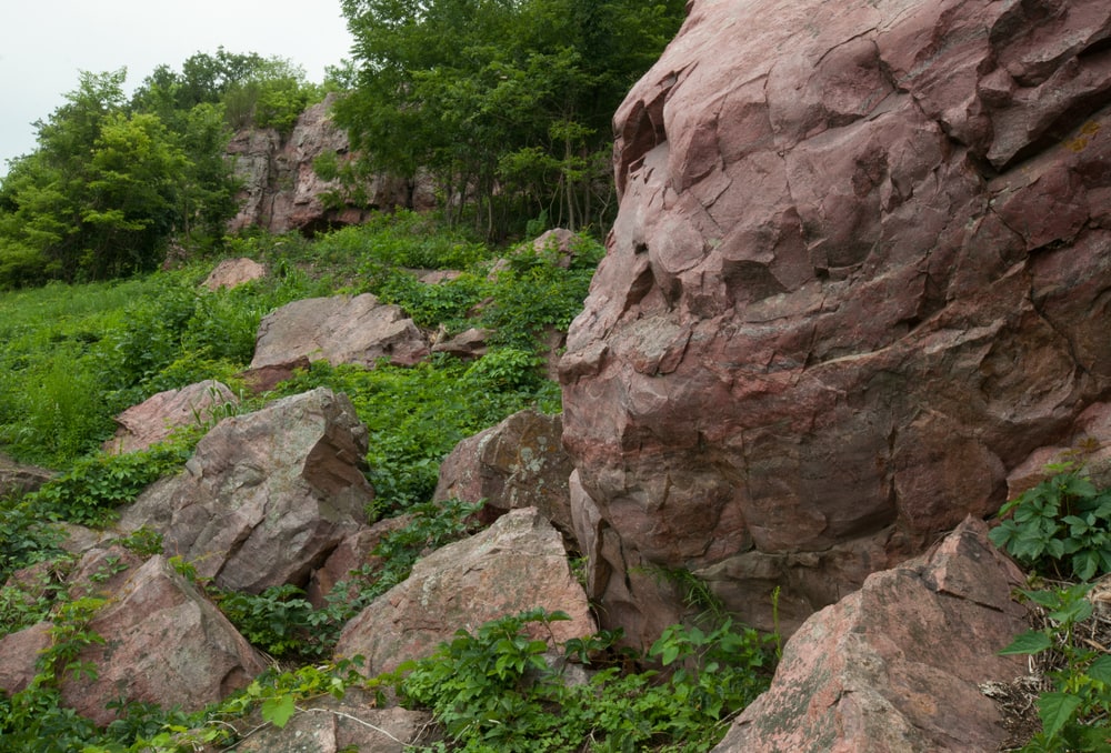 Quartzite, Metamorphic Rocks example, in the middle of bushes