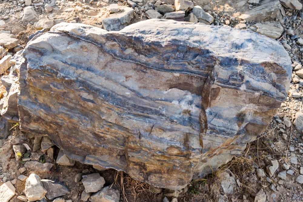 Metamorphic rock sitting on top of small stones