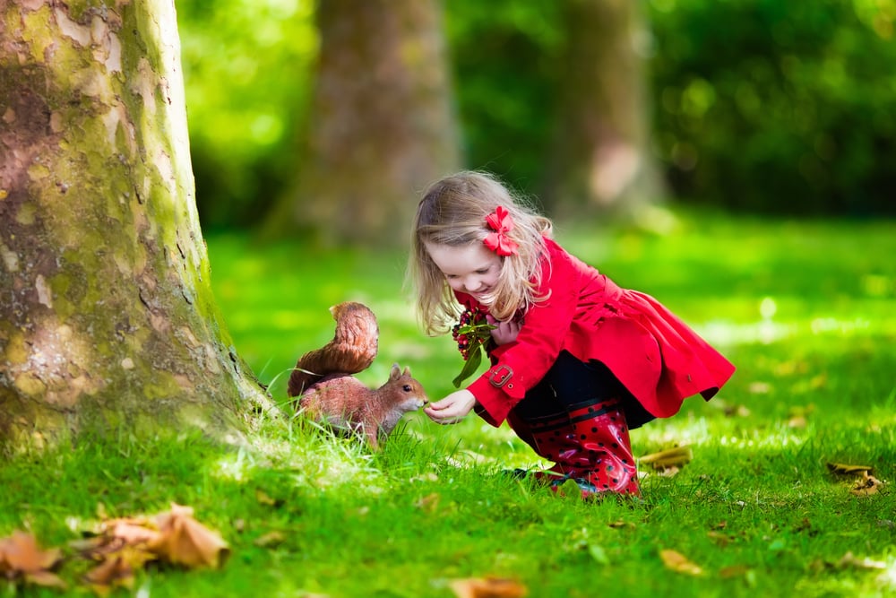 a little girl feeding a squirrel on the park