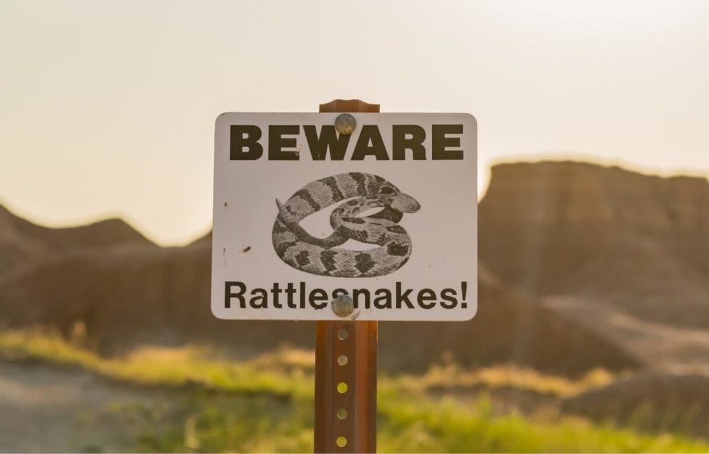 a beware of rattlesnake sign on the side of the road