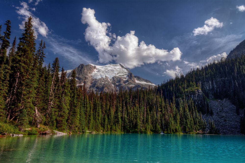 a calm lake surrounded by evergreen trees with a view f the mountain