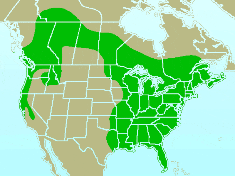 range map of a pileated woodpecker