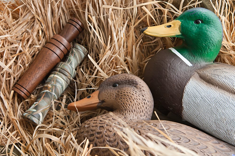 duck decoy with stuffed and some calls