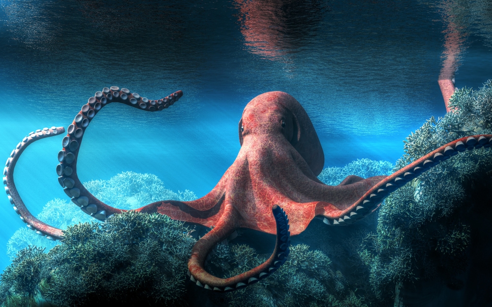 Octopus almost on the surface of the ocean