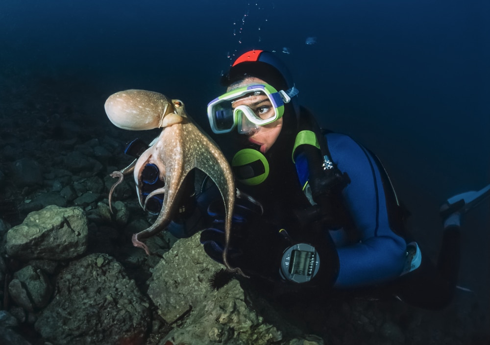 Diver holding an octopus