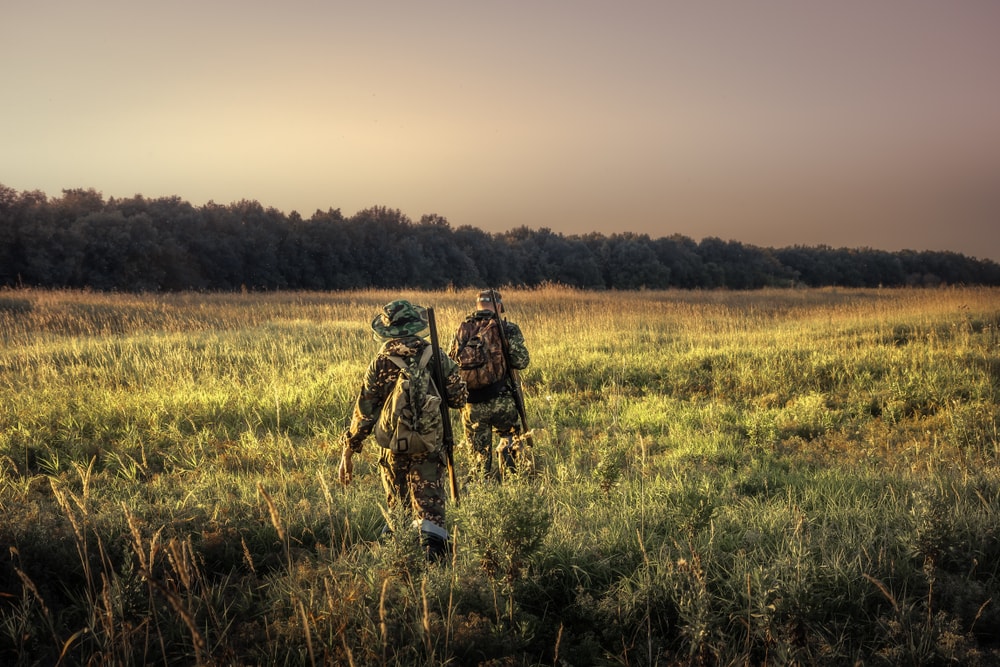 two hunters walking on a grassy field with their hunting equipment