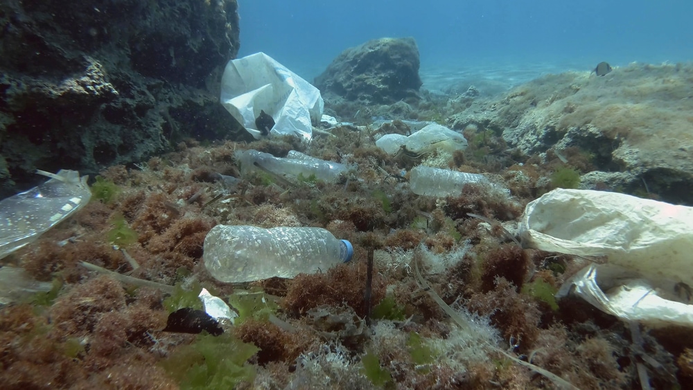 garbage and plastics on the ocean floor