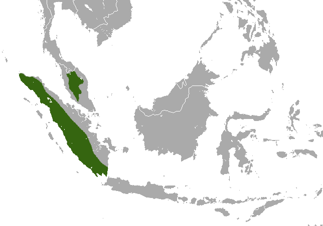 distribution map of siamang 