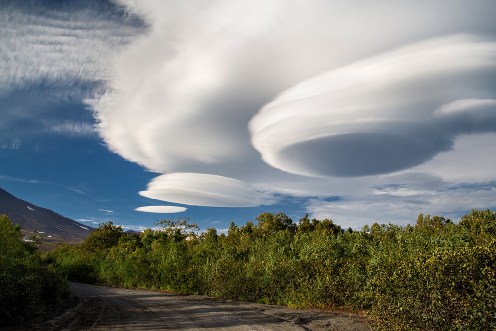 Lenticular Clouds on top of trees