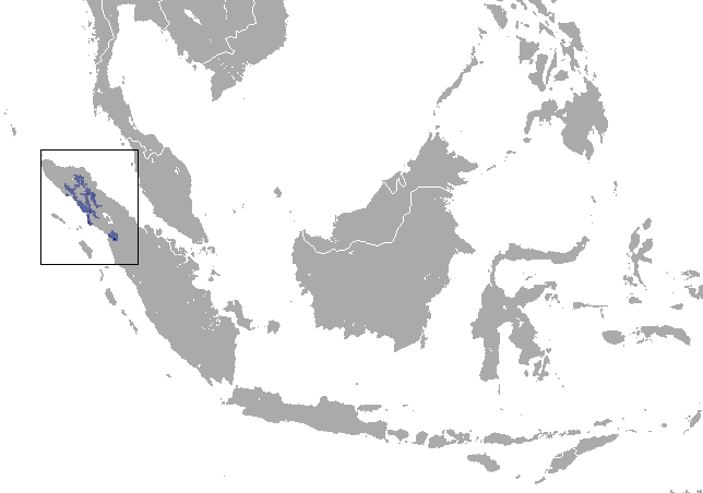 range map pf the Sumatran Orangutan